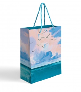 Пакет подарочный малый Lorex Gift Bag FLUFFY SKY, 18х23х10см